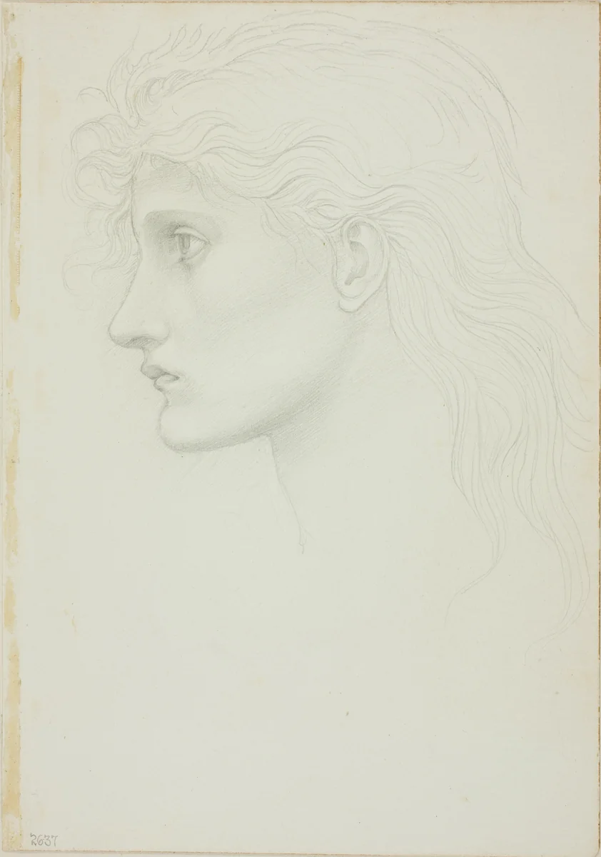 Head of Girl Facing Left by Edward Burne-Jones, drawing, 1868-1883