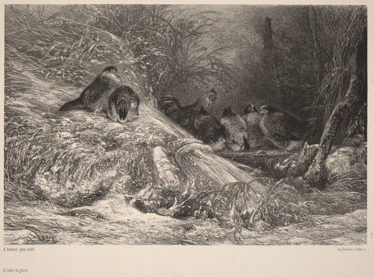 A l'abri du givre by Karl Bodmer, print, 1809-1893