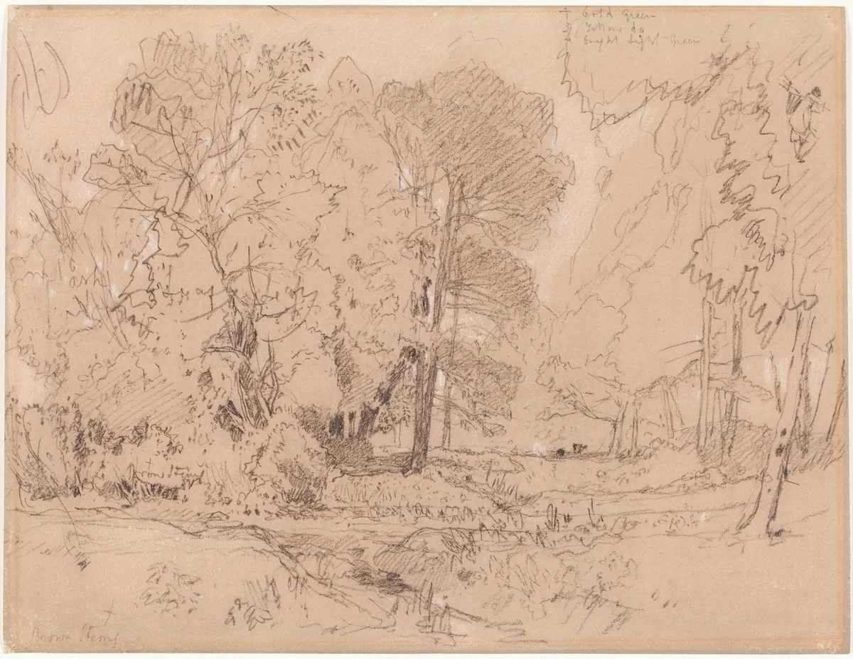Wooded Landscape by John Sell Cotman, drawing, 1841