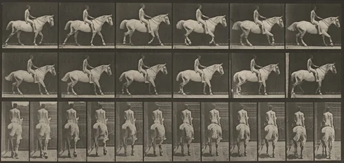 Plate Number 582. "Smith" walking, saddled; rider nude by Eadweard Muybridge, photograph, 1887