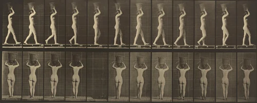 Plate Number 34. Walking and carrying a 15-lb. basket on head, hands raised by Eadweard Muybridge, photograph, 1887