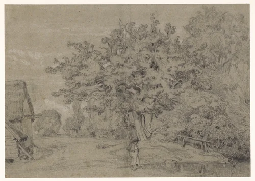 Oude boom bij een boerderij by Constant Troyon, drawing, 1820-1865