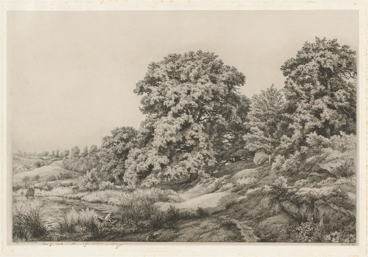 Oaks near a Pond by Eugène Bléry, print, 1852