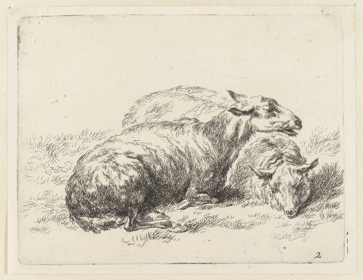 Twee liggende schapen by Nicolaes Pietersz Berchem, print, 1648-1652