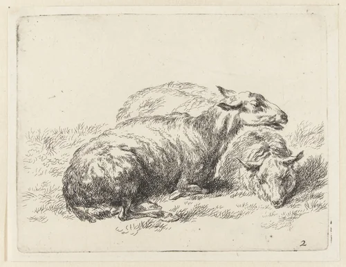 Twee liggende schapen by Nicolaes Pietersz Berchem, print, 1648-1652