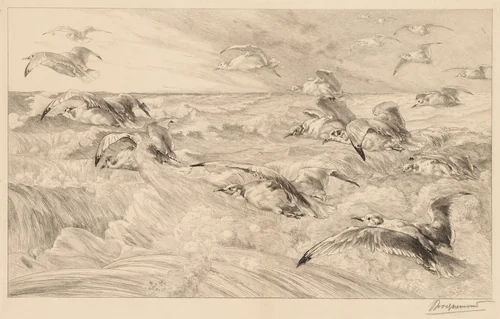 Seagulls (Les Mouettes) by Félix Bracquemond, print, 1877-1887