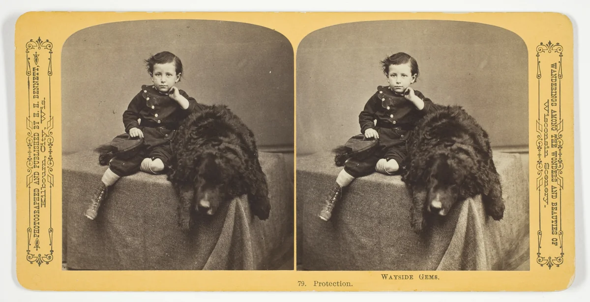 Protection, No. 79 from the series "Wayside Gems" by Henry Hamilton Bennett, photograph, 1870-1889