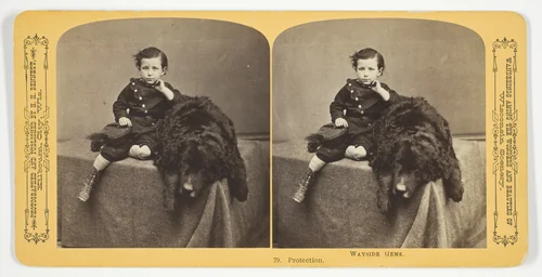 Protection, No. 79 from the series "Wayside Gems" by Henry Hamilton Bennett, photograph, 1870-1889