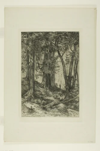 A California Forest by Mary Nimmo
Thomas Moran, print, 1888