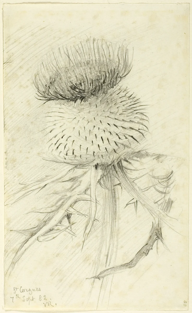St. Cergues by John Ruskin, drawing, 1882