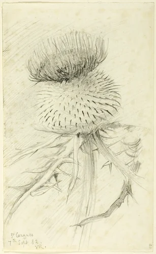 St. Cergues by John Ruskin, drawing, 1882
