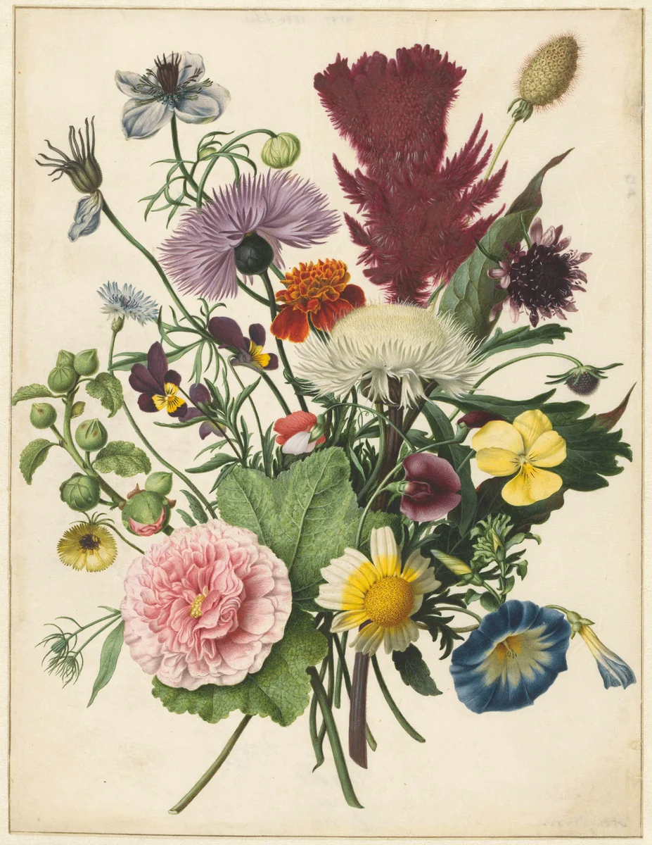 Boeket bloemen by anonymous, drawing, 1680