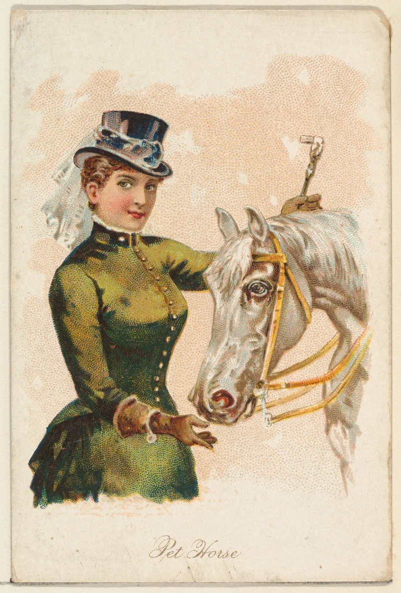 Pet Horse, from the Household Pets series (N194) issued by Wm. S. Kimball & Co. by William S. Kimball & Company, print, 1891