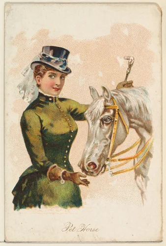 Pet Horse, from the Household Pets series (N194) issued by Wm. S. Kimball & Co. by William S. Kimball & Company, print, 1891