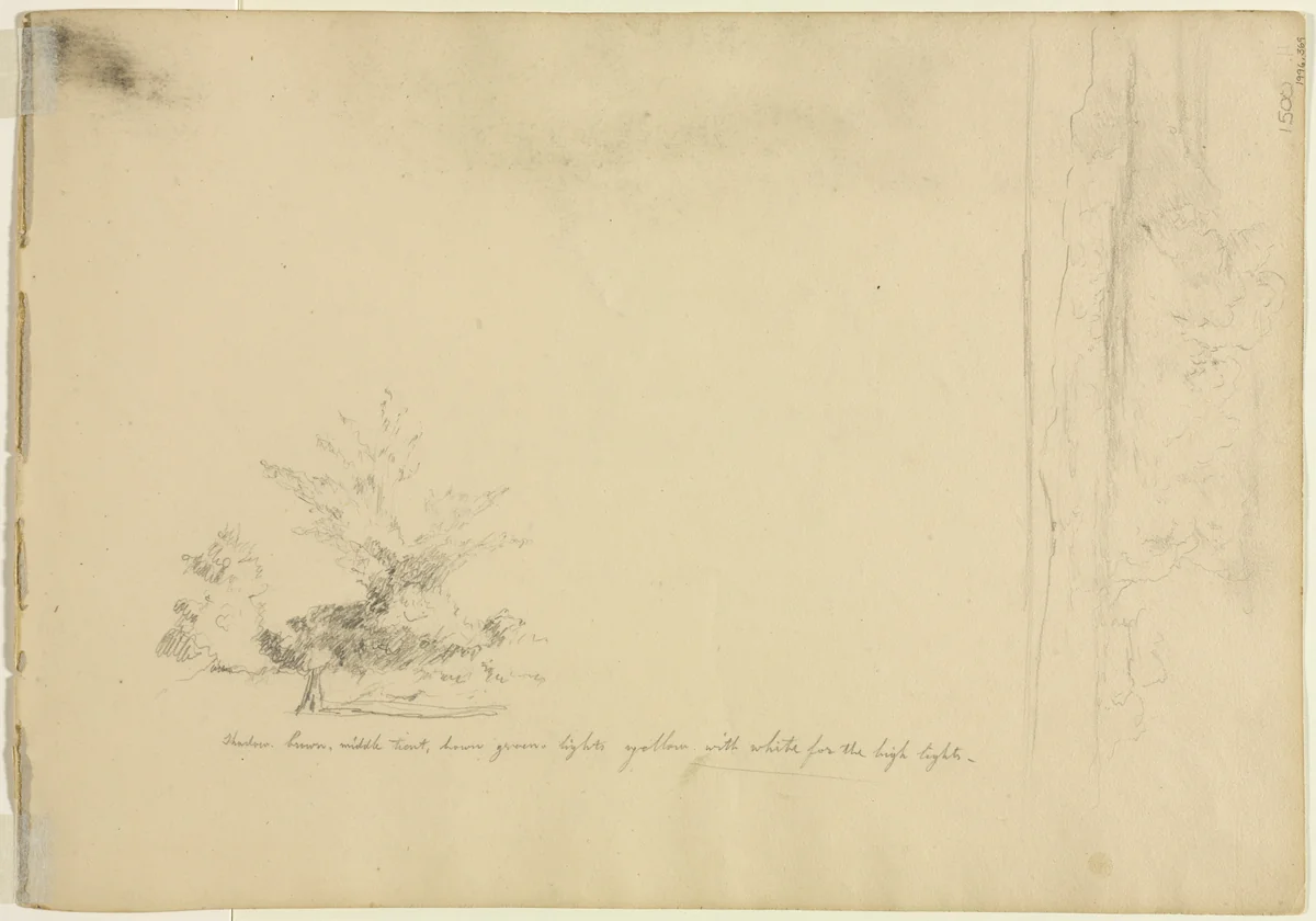 Landscape and Tree Studies (verso) by David Johnson, drawing, 1846-1856