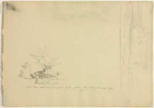 Landscape and Tree Studies (verso) by David Johnson, drawing, 1846-1856