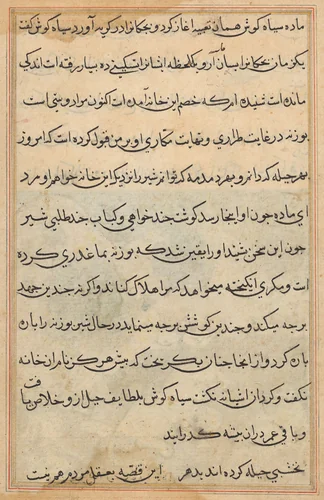 Tuti-Nama (Tales of a Parrot) by Unknown, painting, 1555-1565