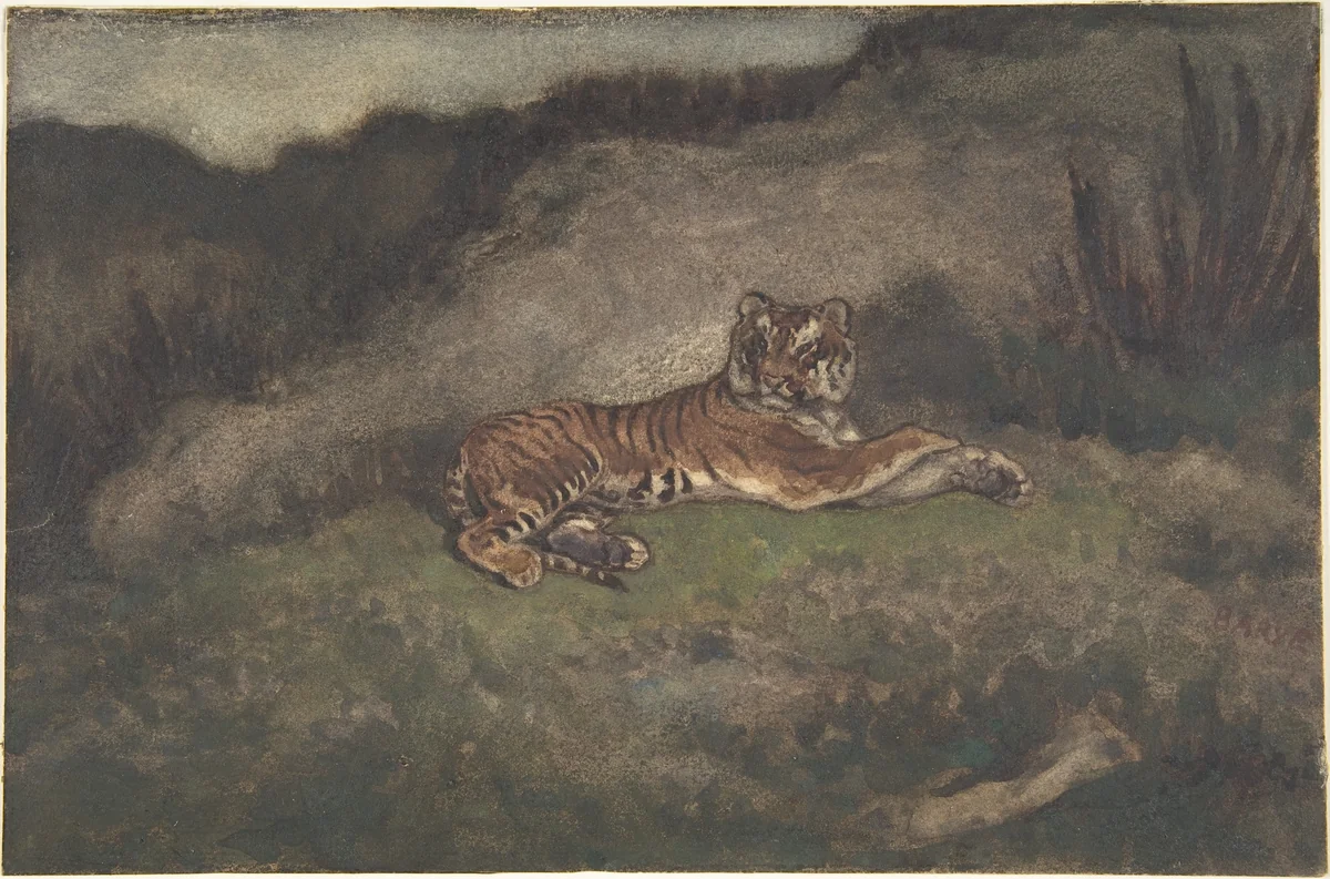 Tiger by Antoine-Louis Barye, drawing, 1810-1875