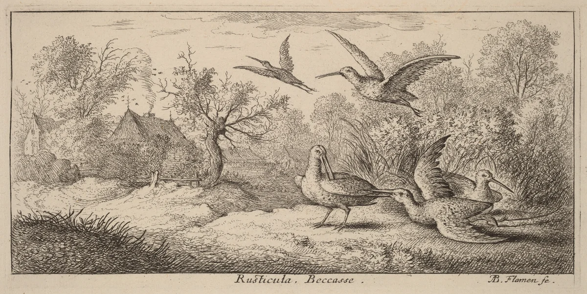 Rusticula, The Woodcock by Albert Flamen, print, 1620-1669