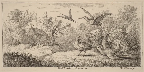 Rusticula, The Woodcock by Albert Flamen, print, 1620-1669