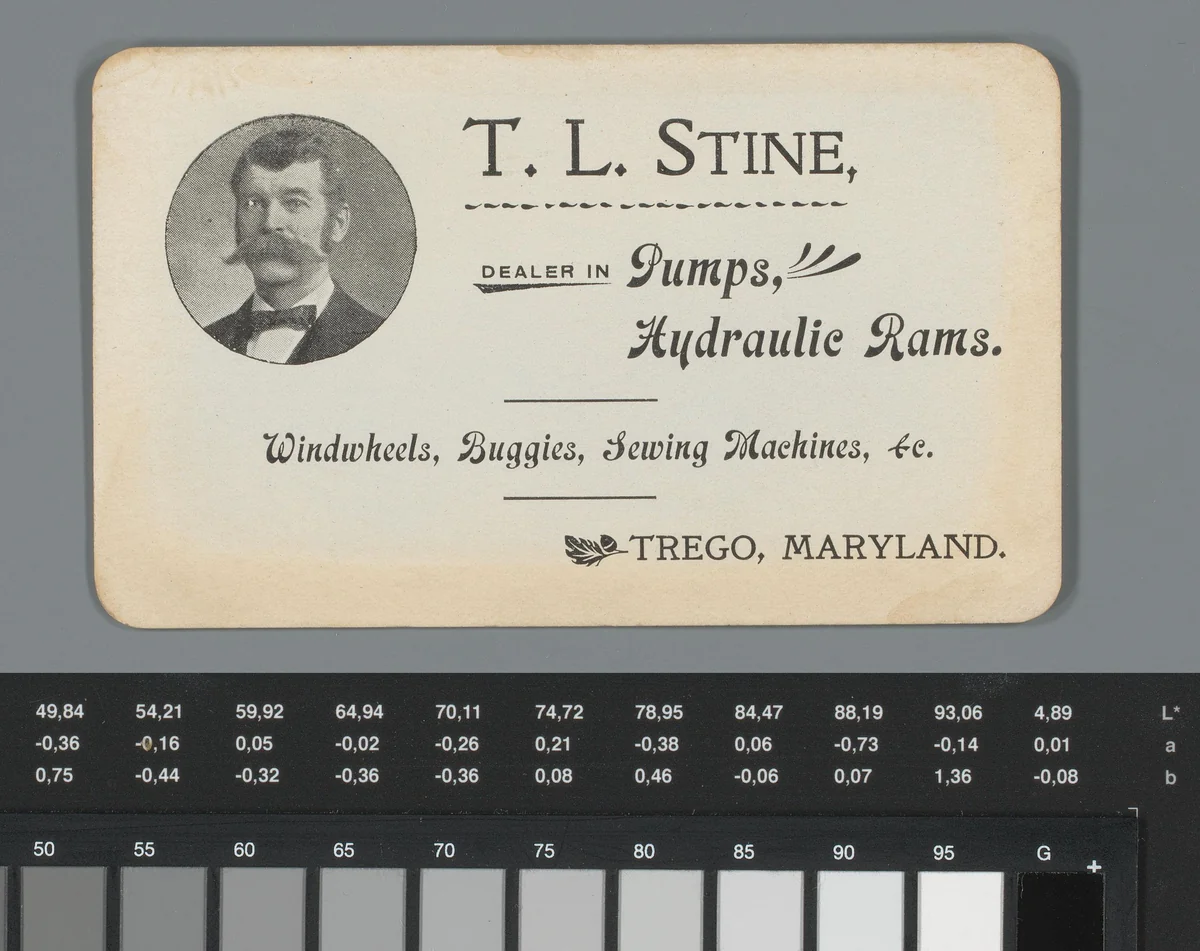 Portret van T.L. Stine met reclame voor zijn handel in machines in Trego, Maryland by anonymous, photograph, 1885-1910