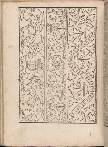 New Modelbüch allen Nägerin u. Sydenstickern (Page 20v) by Hans Hoffman, book, 1556