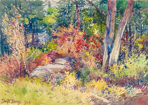 Autumn Forest by Dwight Blaney, drawing, 1924