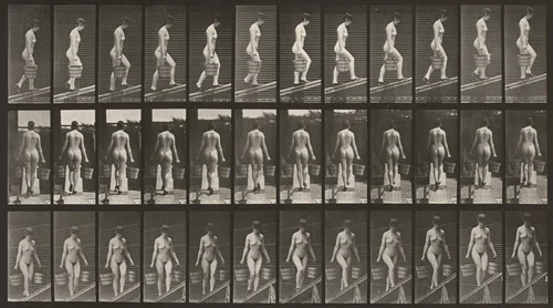 Plate Number 87. Ascending an incline with a bucket of water in each hand by Eadweard Muybridge, photograph, 1887