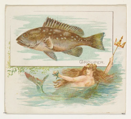 Grouper, from Fish from American Waters series (N39) for Allen & Ginter Cigarettes by Allen & Ginter, print, 1889
