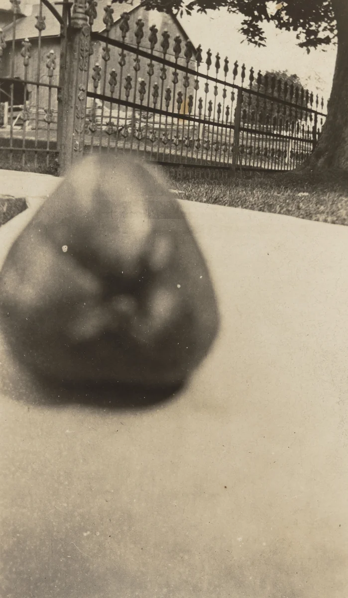 Untitled by Unidentified Photographer, photograph, 1925