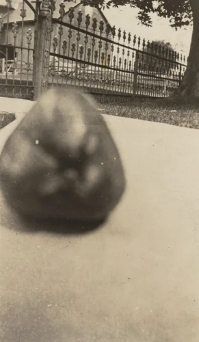 Untitled by Unidentified Photographer, photograph, 1925