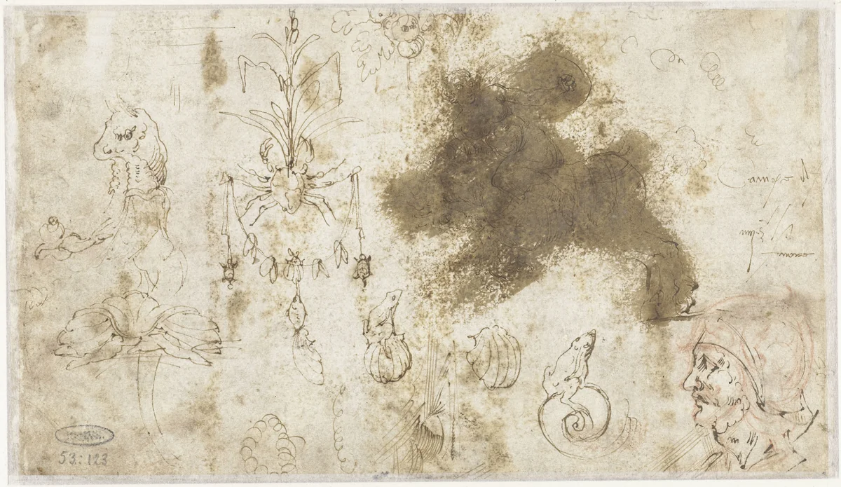 Ornamenten, een manskop en dieren by anonymous, drawing, 1500-1600