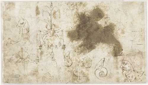 Ornamenten, een manskop en dieren by anonymous, drawing, 1500-1600