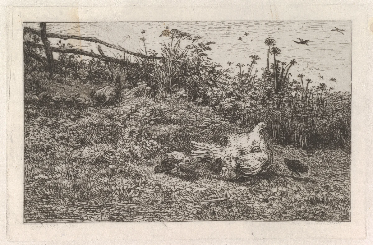 Le Poule et ses Poussins by Charles-François Daubigny, print, 1855-1865