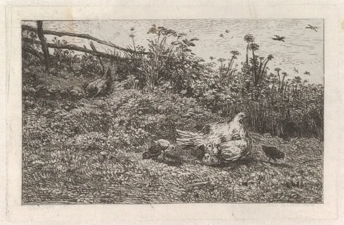 Le Poule et ses Poussins by Charles-François Daubigny, print, 1855-1865