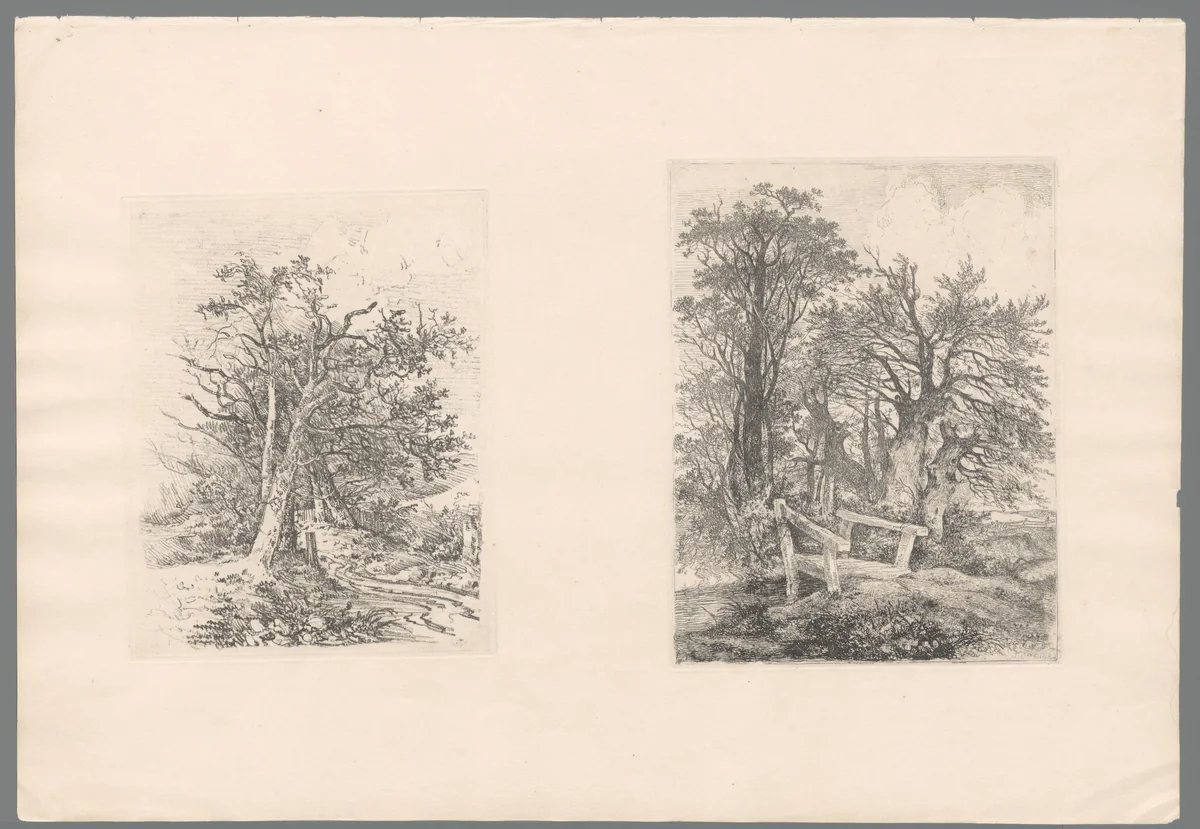 Drie bomen bij een kleine poel by John Crome, print, 1834