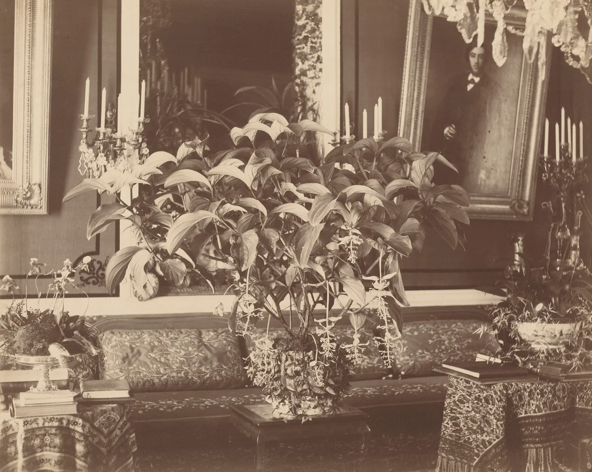 Interior by Pierre-Ambrose Richebourg, photograph, 1860-1869