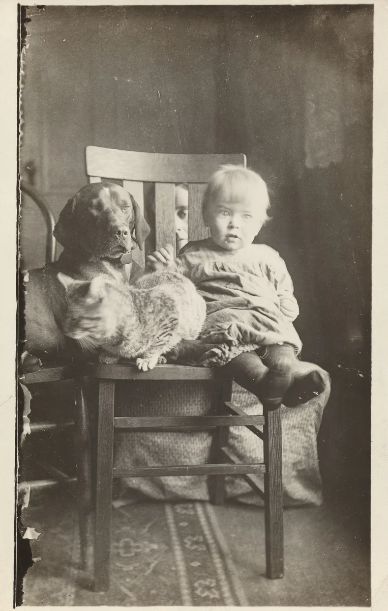 "This is our boy, dog and cat and I am sticking my nose through the back of the chair. Burns just woke up so he looks kind of mussed up." by American 20th Century, photograph, 1900-1920
