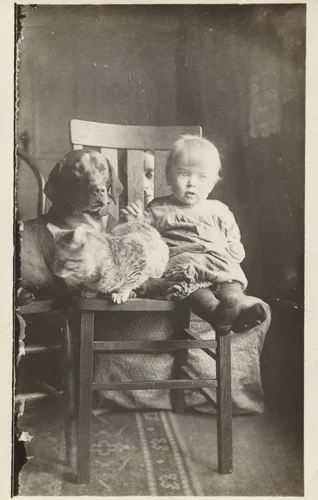 "This is our boy, dog and cat and I am sticking my nose through the back of the chair. Burns just woke up so he looks kind of mussed up." by American 20th Century, photograph, 1900-1920