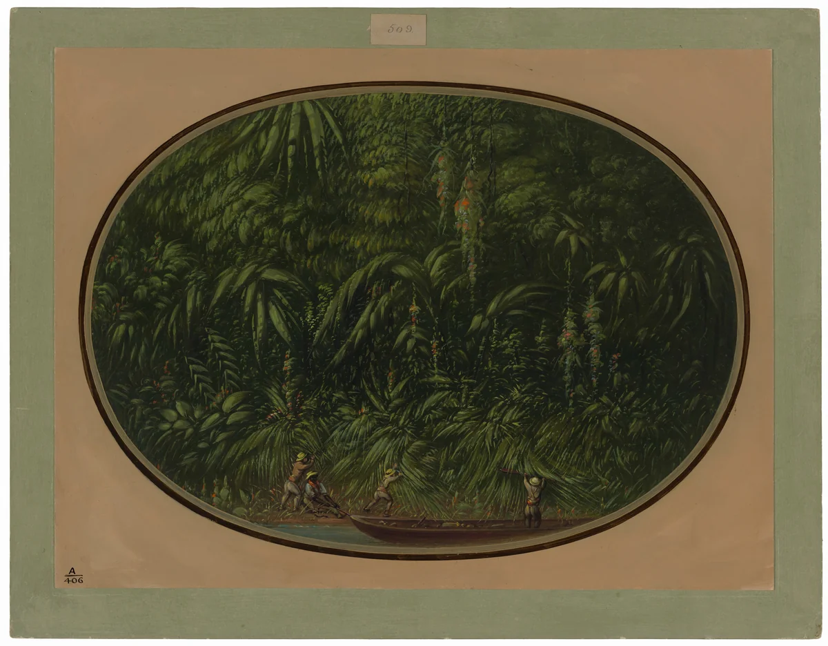 Shore of the Trombetas by George Catlin, painting, 1854-1869