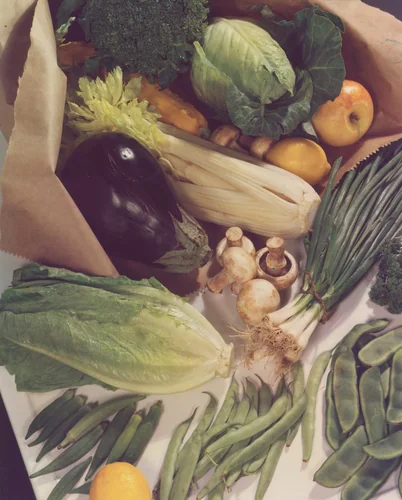 Untitled by Caroline Whiting Fellows, photograph, 1930-1939