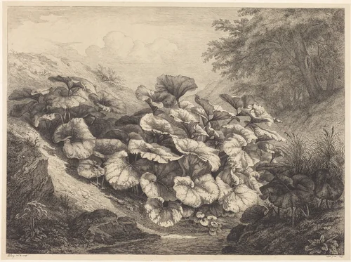 Large Coltsfoot by Eugène Bléry, print, 1843