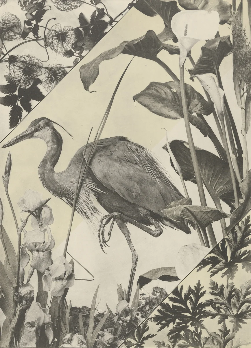 Page from Festons und Dekorative Gruppen by Unidentified Photographer, photograph, 1893