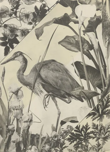 Page from Festons und Dekorative Gruppen by Unidentified Photographer, photograph, 1893