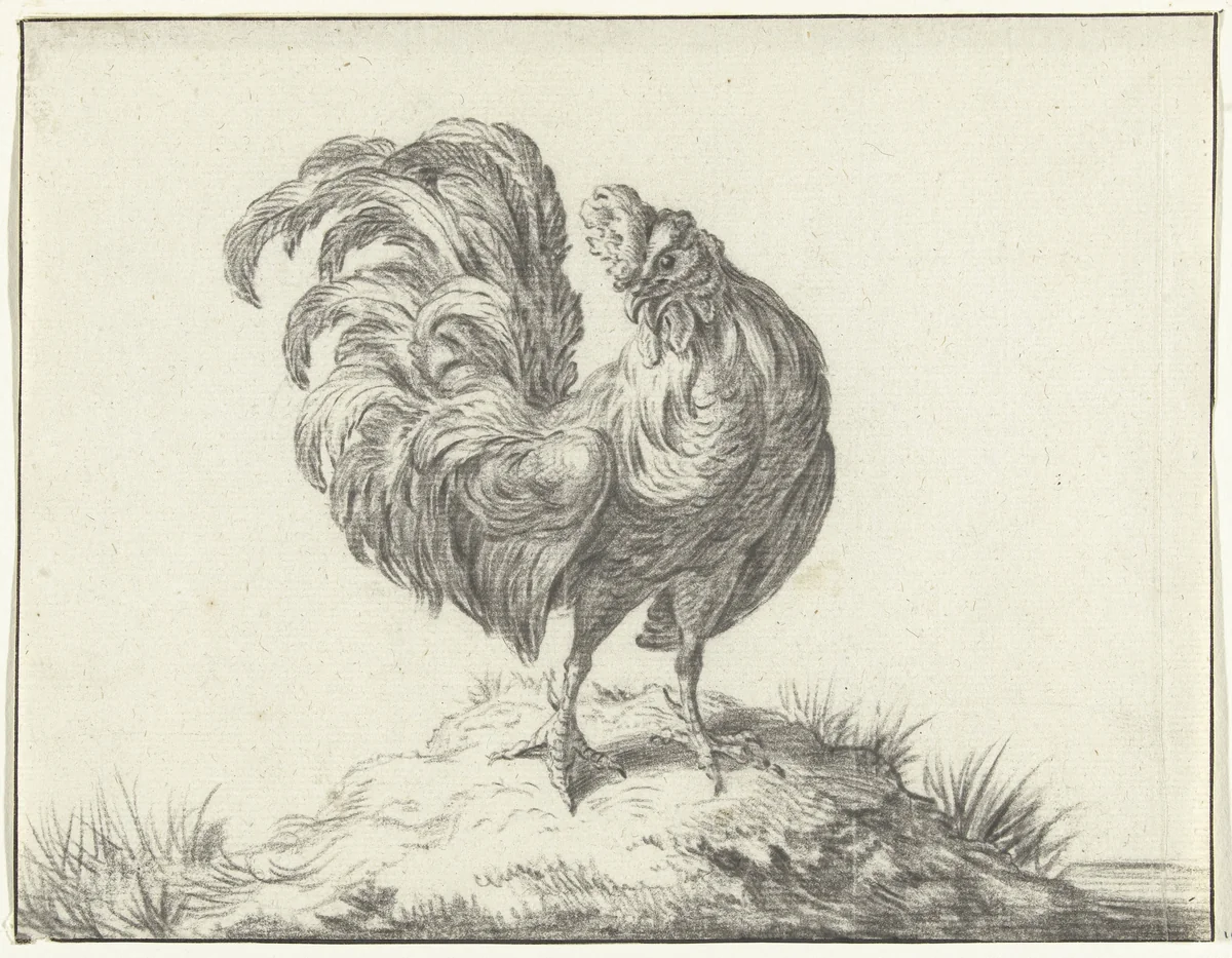 Kip, staande op een heuveltje by Jean Bernard, drawing, 1775-1833