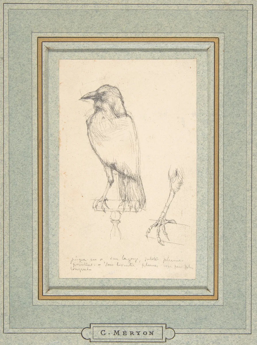 A Raven Perched on a Rail by Charles Meryon, drawing, 1815-1868