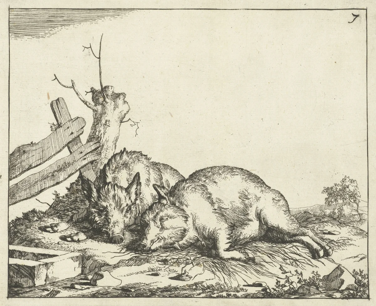 Twee varkens liggend bij hek by Marcus de Bye, print, 1657-1677