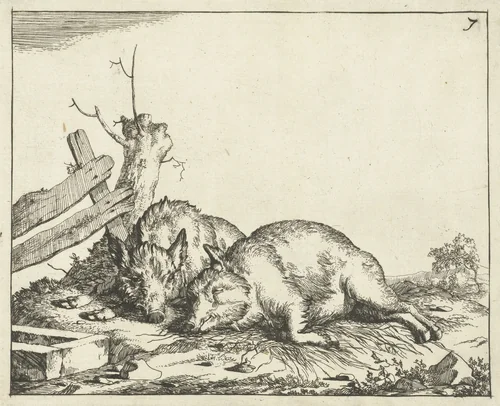 Twee varkens liggend bij hek by Marcus de Bye, print, 1657-1677