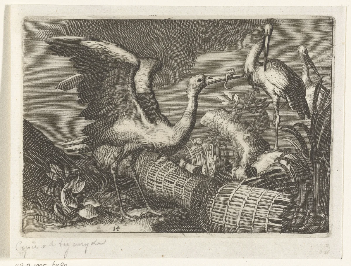 Ooievaars by anonymous, print, 1611-1661
