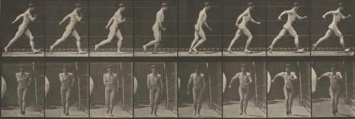 Plate Number 4. Walking by Eadweard Muybridge, photograph, 1887